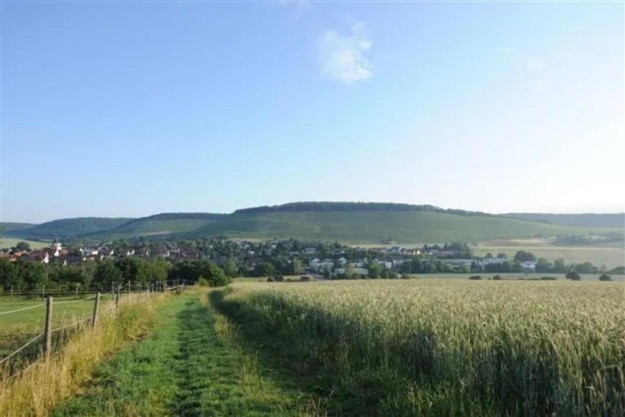 Landpension Wachtkopf Vaihingen an der Enz Exterior foto